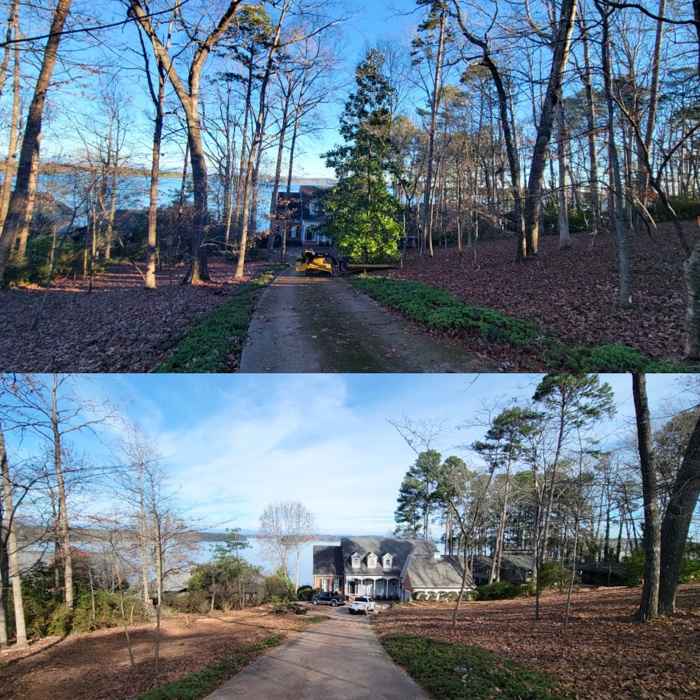 Before and after, lot clearing