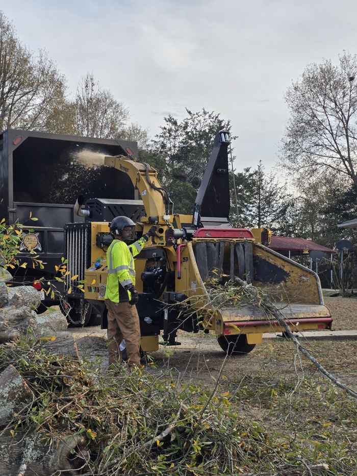 Crew feeding brush into the chipper