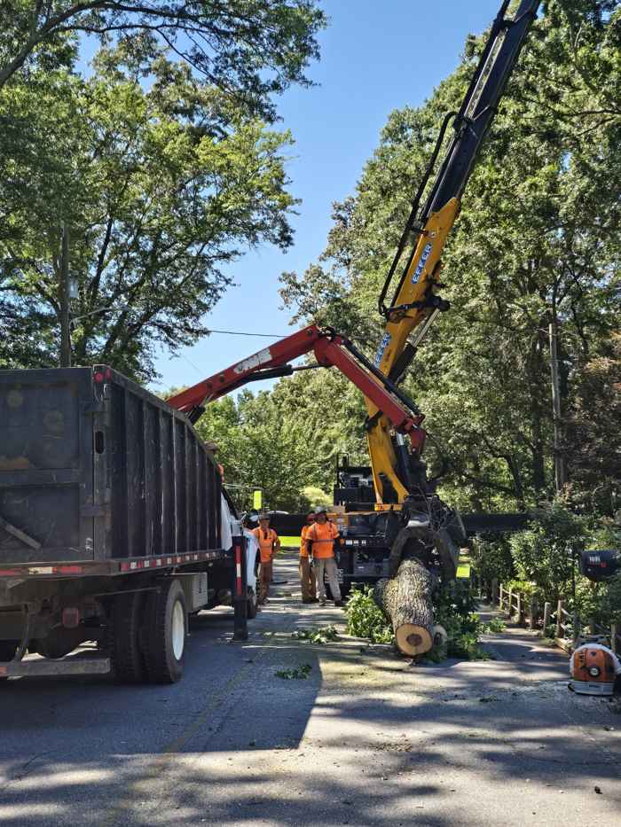 Grapple truck loading brush on the street