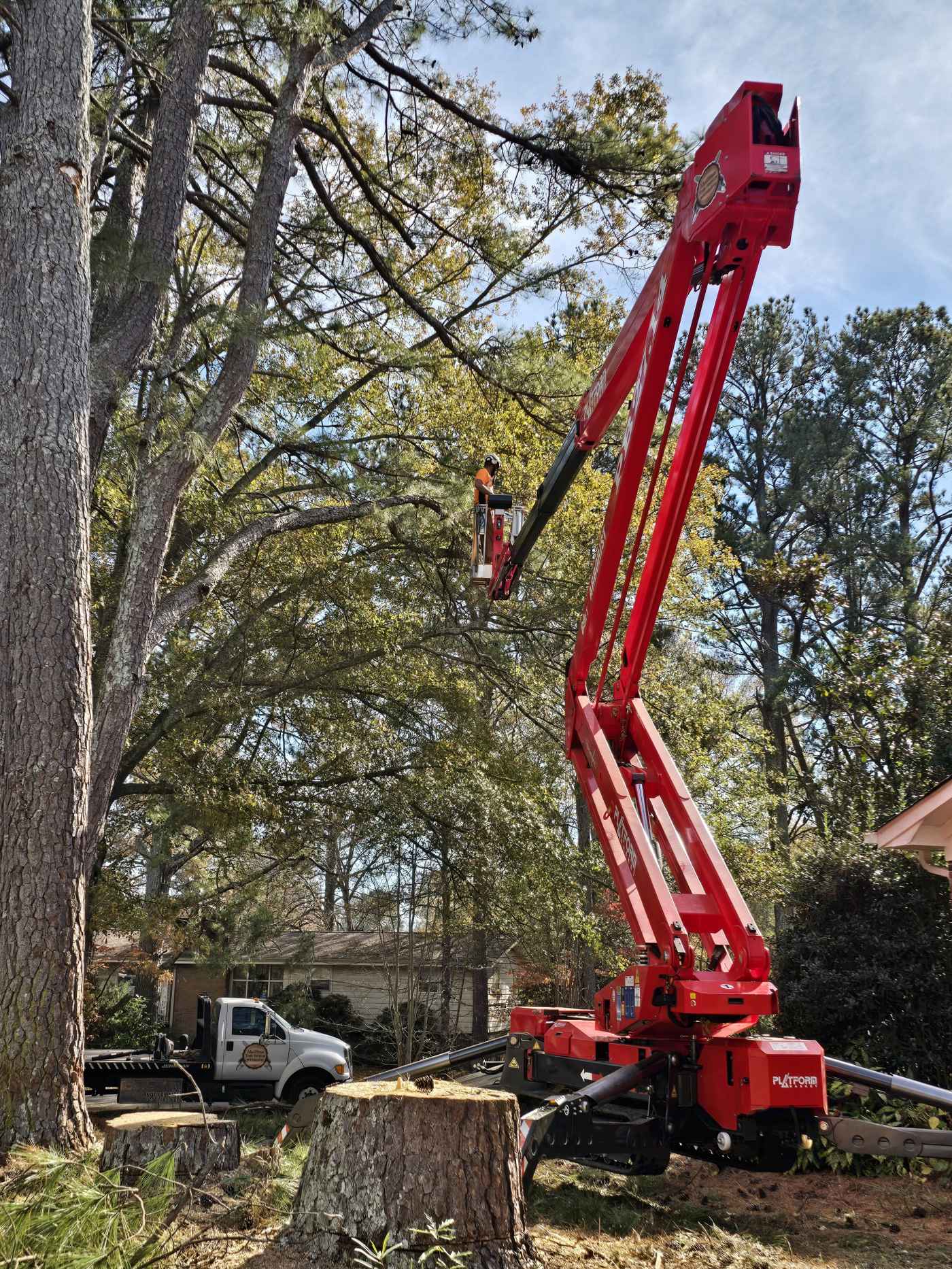 Red spider lift on a removal in a back yard