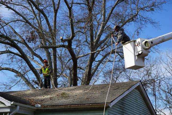 Crew member in a bucket trimming limbs above a house roof